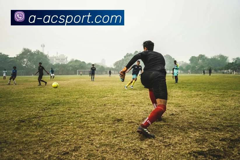 米兰体育官网全站App